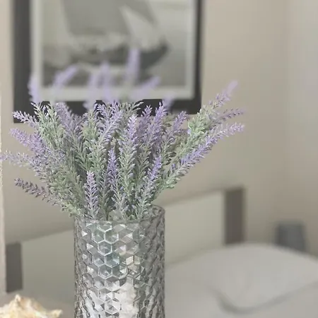 Apartman Orca *