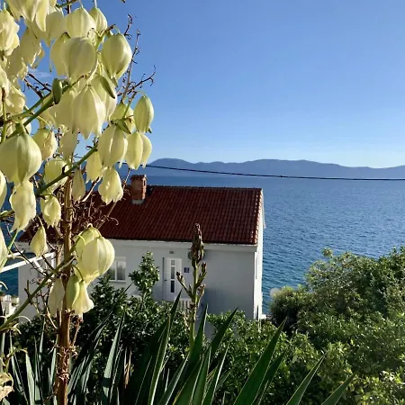 Apartman Orca *