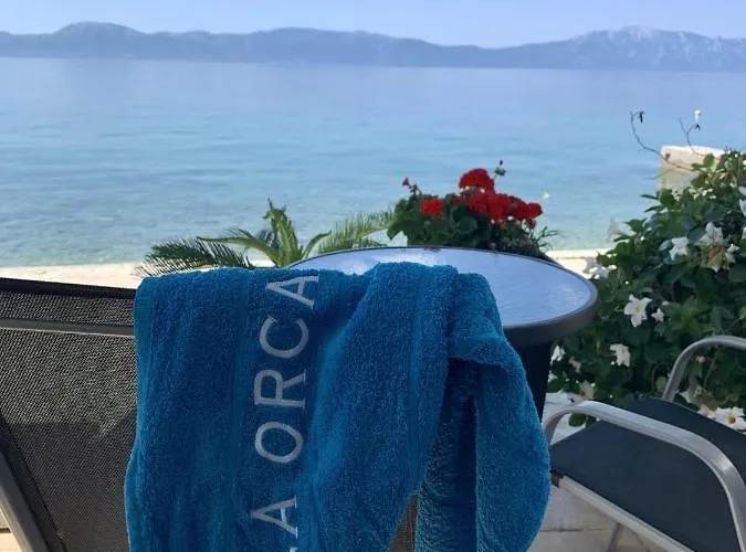 Orca *